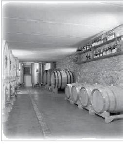 INTRODUZIONE SUL VINO La conservazione dei vini Come è noto, il vino può essere conservato nel tempo: se mantenuti in un luogo adatto i vini bianchi possono essere conservati per circa due anni dalla