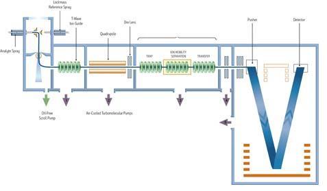 flight (Q-TOF) Accurate measurement of mass TÜV