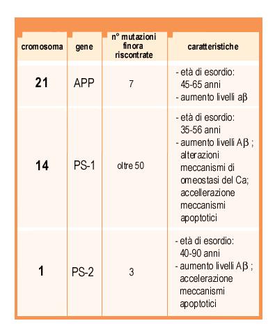 Eziopatogenesi: teoria genetica Per le forme familiari, le mutazioni