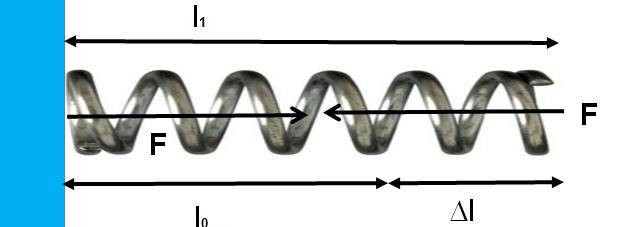 Legge di Hooke F = k l = k(l 1 l 0) La forza di una molla priva di massa, al pari