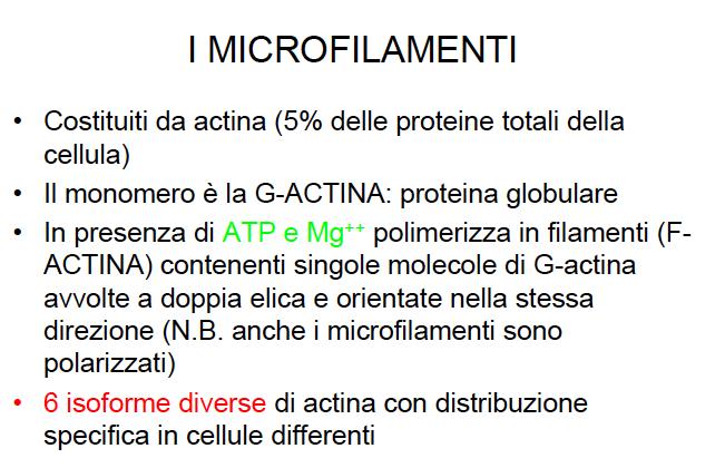 MFN0366-A1 (I.