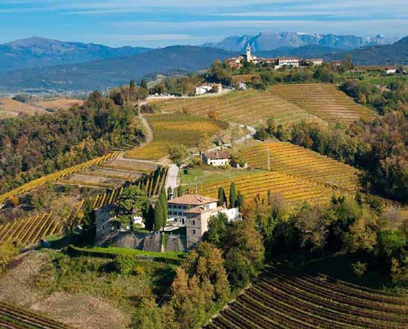 15 dicembre 2017 Il lungo cammino delle Lezioni di Cultura Alpina continua con Paesaggio Friuli.