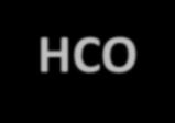 I: sistema bicarbonati ultrafiltrato Cellula TCD sangue HCO 3 Na + HCO 3 H + H 2 O + CO 2 H 2 CO 3 H + + HCO 3 Na + anidrasi