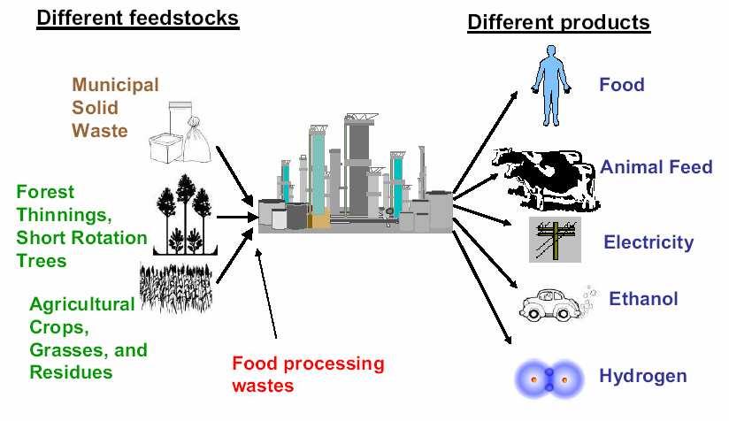 Fattoria dell energia Feedstocks Prodotti Cibo Residui agro-alimentari