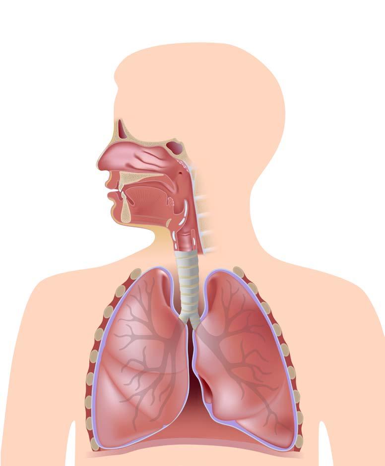 Quali sono le attuali applicazioni della biopsia liquida? Nella pratica clinica, la biopsia liquida ha indicazioni limitate.