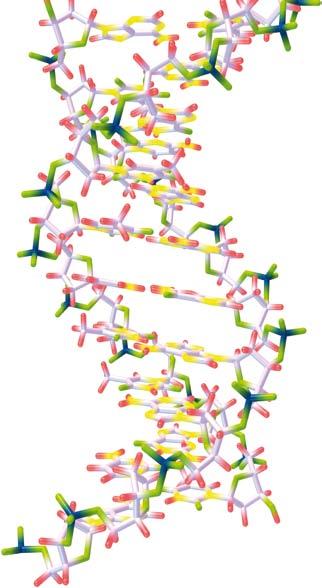 materiale proveniente dalla biopsia tradizionale non sia sufficiente per effettuare tale esame.