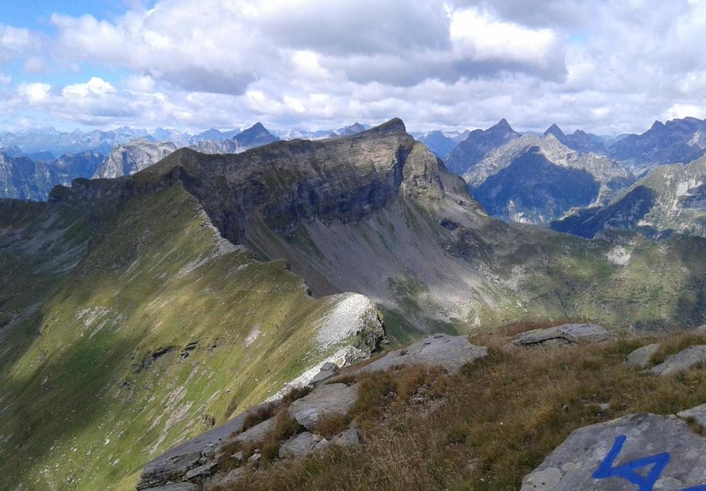 Escursione multidisciplinare nelle Alpi Centrali Deformazioni duttili e metamorfismo di alta pressione Cima di Gagnone Val Verzasca, Canton Ticino CH 21-23 GIUGNO 2016 Organizzata da: Filippo
