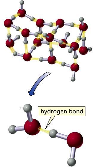 Legame idrogeno È un particolare tipo di interazione dipolo-dipolo, particolarmente intensa Avviene tra un legato ad un atomo molto