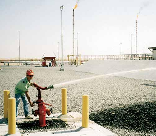 Molti sono i lavori realizzati in impianti petrolchimici, piattaforme petrolifere, grandi opere pubbliche.