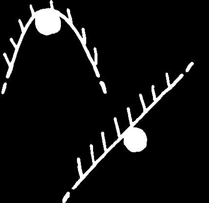 MOLTEPLICITÀ DEGLI EQUILIBRI Il