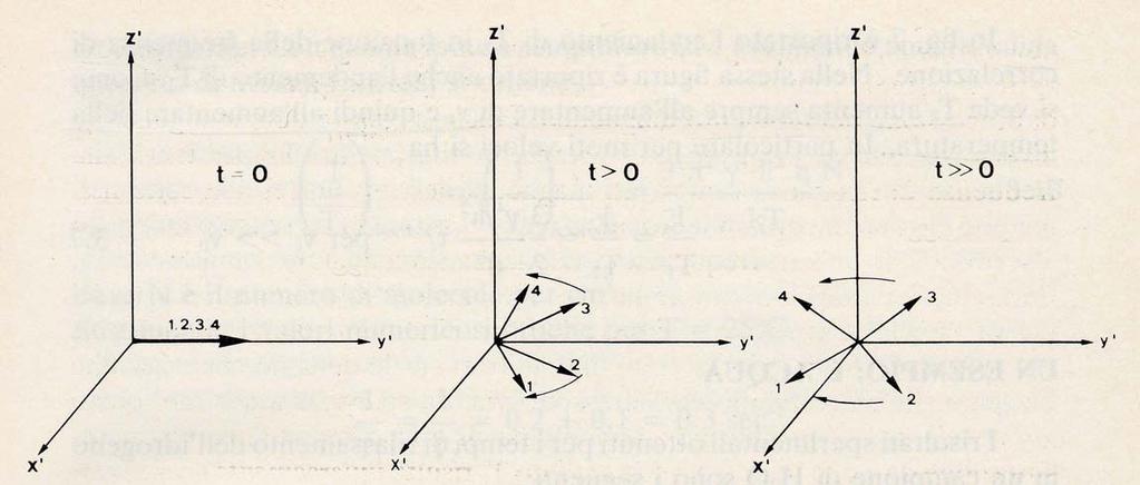 T 2 tempo di rilassamento spin-spin Supponiamo b z costante nel tempo: ν o ν o ± ν o