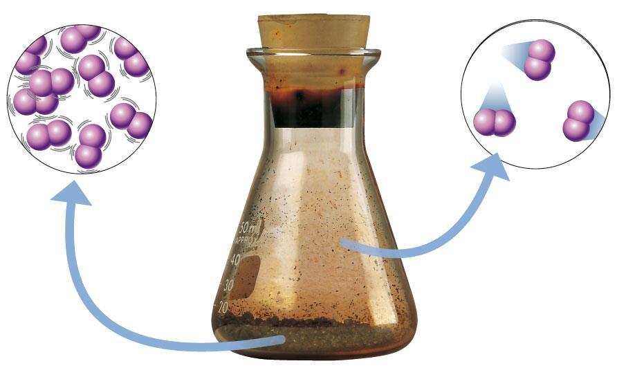 La teoria cinetico-molecolare 18 È più difficile annullare le forze di coesione tra le particelle di un liquido che indebolire le forze di coesione di un solido.