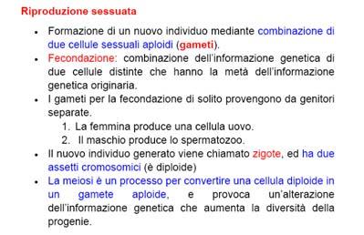 germinali e cellule staminali Esempi nei mammiferi: cellule che