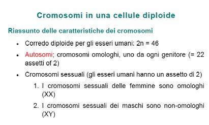 cromosomi sessuali di diversi gruppi tassonomici, in cui il cromosoma X è