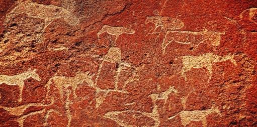 Qui visiteremo la sua laguna, dove, fortuna permettendo, potremo osservare diverse specie di uccelli tra cui fenicotteri, pellicani, pivieri per poi ripartire alla volta di Swakopmund, piccola