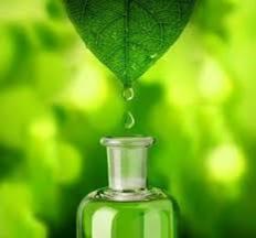 AROMATERAPIA L'aromaterapia indica l'impiego di essenze aromatiche, dette anche oli essenziali o oli volatili, utili per assicurare benessere, per prevenire le malattie o per curare alcune affezioni