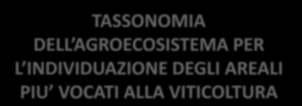 VALORIZZAZIONE AGRICOLTURA VITIVINICOLA: