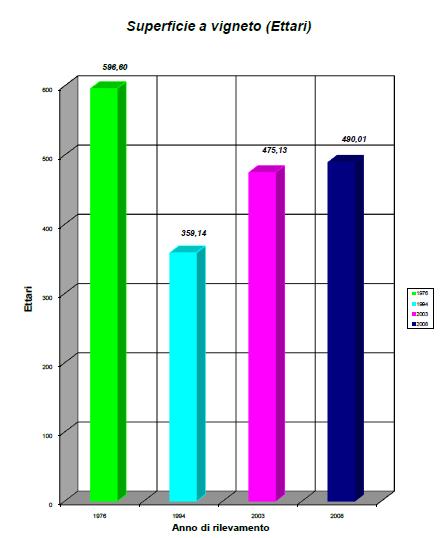 MASSIMA PRODUTTIVITA INIZIO RISTRUTTURAZIONE VIGNETI RICERCA QUALITA