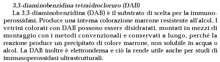 Cromogeni per la perossidasi Sezione incubata in presenza del substrato dell enzima E =