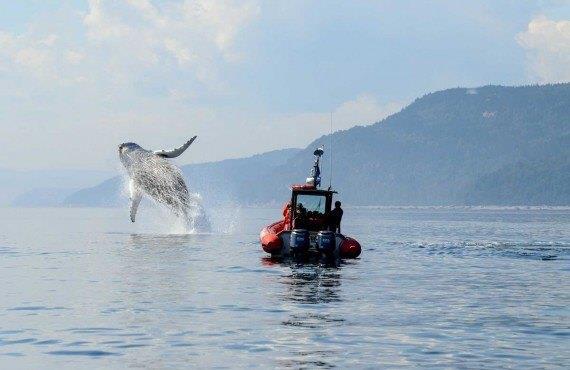 5 giorno: Sito aborigeno di Wendake/La Malbaie (300 Km) Partenza per Tadoussac situata sulle sponde del fiume San Lorenzo.