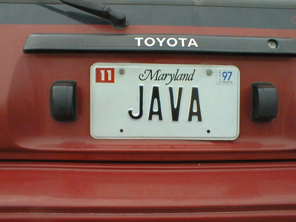 Perché Java?