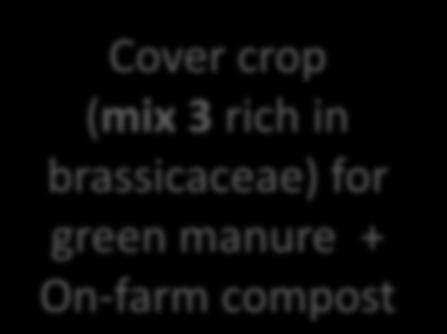 flattened Strawberry Agroecological System compost