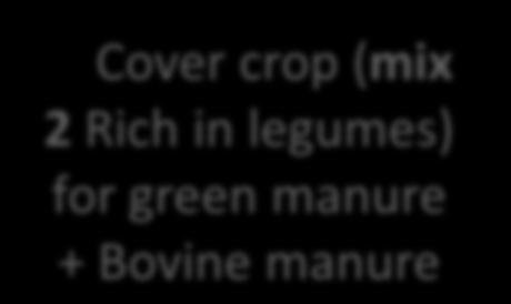 crop (mix 2 Rich in legumes) for green manure + Bovine