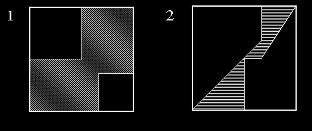 RSB0009 Si supponga che le figure 1 e 2 rappresentino 2 pareti che sono state dipinte con vernice