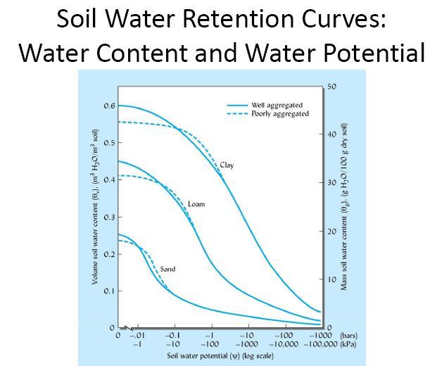 Il contenuto idrico di un suolo alla capacità di campo ed al punto di appassimento varia in funzione della sua tessitura e