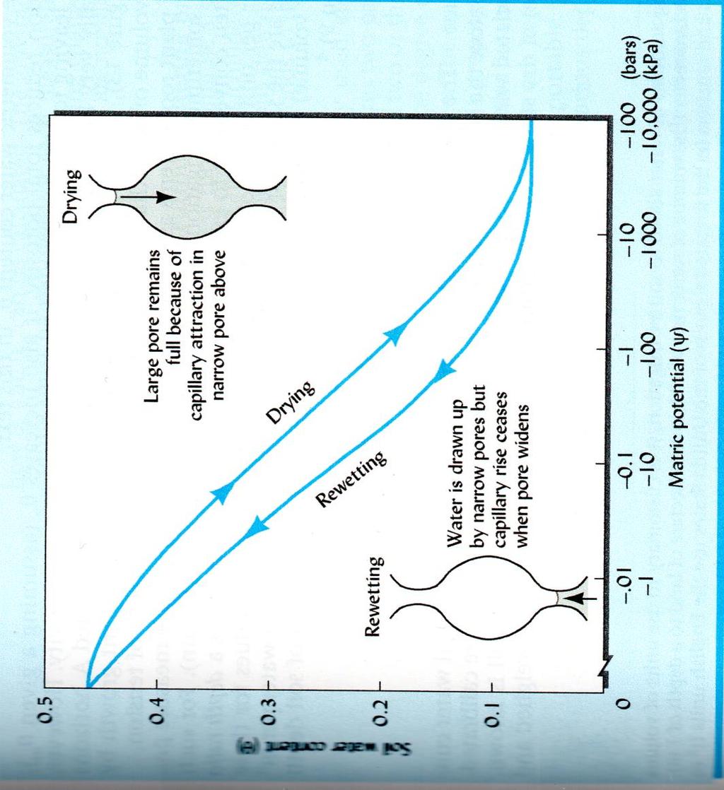 Isterèsi Fenomeno idrologico a causa del quale viene ad essere ostacolato l inumidimento quando viene aggiunta acqua al terreno, e l essiccamento quando questa tende ad evaporare.