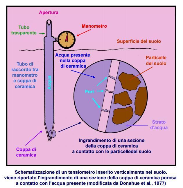 Determinazione tensiometrica