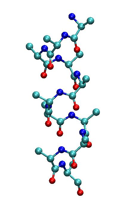 Secondary structure. The a-helix.