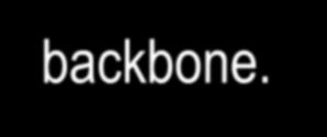 Favorable dipolar interaction in the backbone.