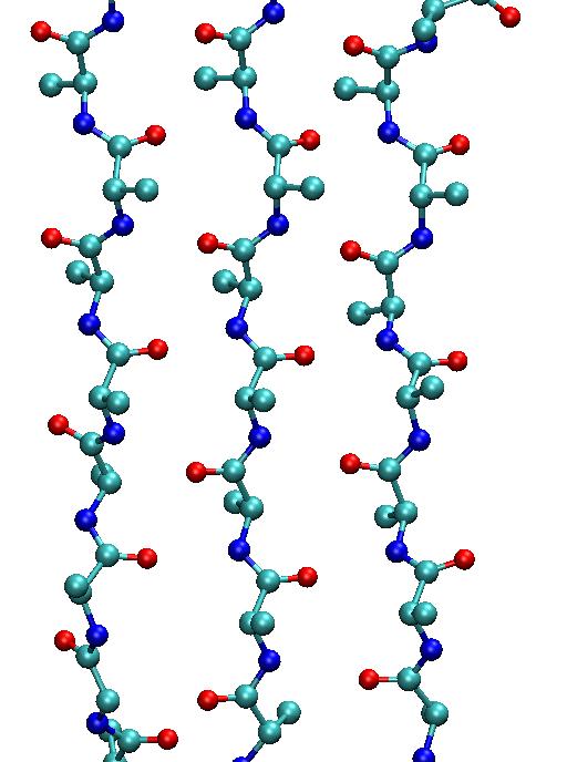 Secondary structure. The b-sheet.