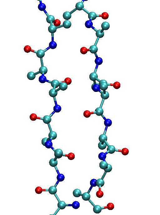 antiparallel extended strands connected by a