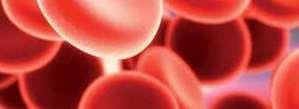 II PARTE RELATORI E ISTRUTTORI Introduzione al corso Approccio all anemia: parte I le anemie ri