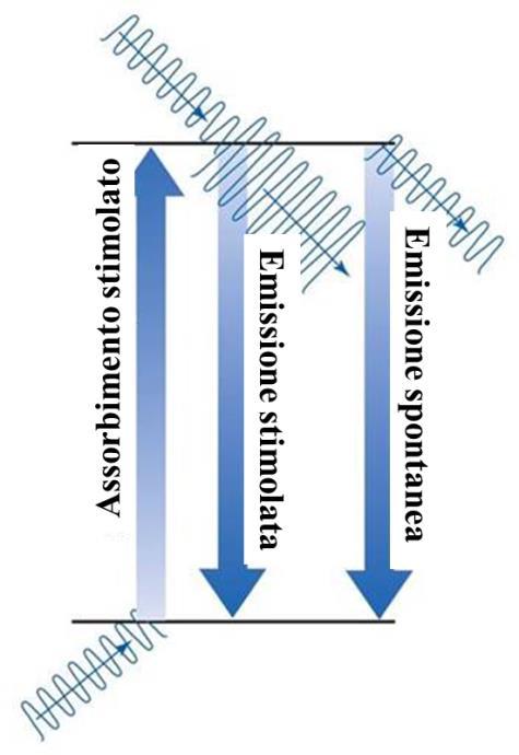 Cofficini di Einsin ssorbimno Simolao: ρν è la cosan di vlocià ch sprim la probabilià ch nll unià di mpo si abbia assorbimno di un foon pr ffo dlla prsnza da una r..m. cararizzaa da una dnsià di nria pr unià di frqunza ρν Emission Simolaa: ρν probabilià ch nll unià di mpo si abbia mission di un foon pr ffo dlla prsnza di una r.