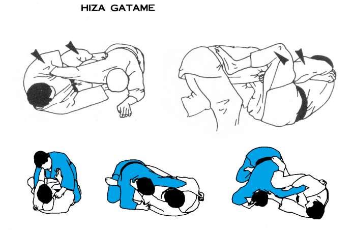 Katame Waza Dan 2 ude: braccio; avambraccio. hishigi (cfr. hishigu): (1) rottura; (2) frantumazione. hiza: ginocchio (cfr. hittsui). hittsui: ginocchio (nel linguaggio dei samurai).
