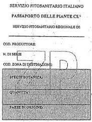 Sul passaporto di sostituzione dovrà essere indicato il codice del produttore originario e la dicitura «RP» (replacement passport).