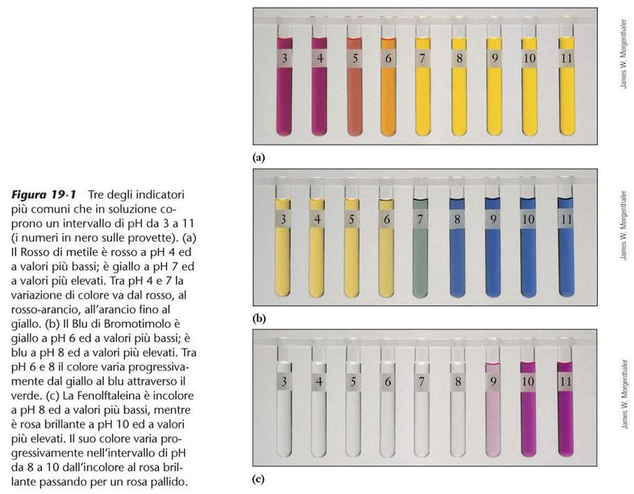 Indicatori acido-base Un indicatore è un colorante