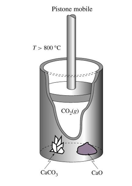 Variazione della temperatura ln 1 R o 1 T 1 1 T Equazione di van t off Equilibri omogenei ed eterogenei.