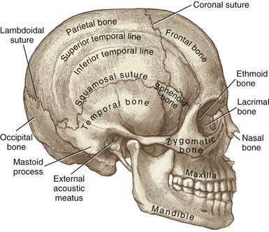 ANTROPOMETRIA La scienza che misura in maniera sistematica il corpo umano nella sua totalità o nelle sue