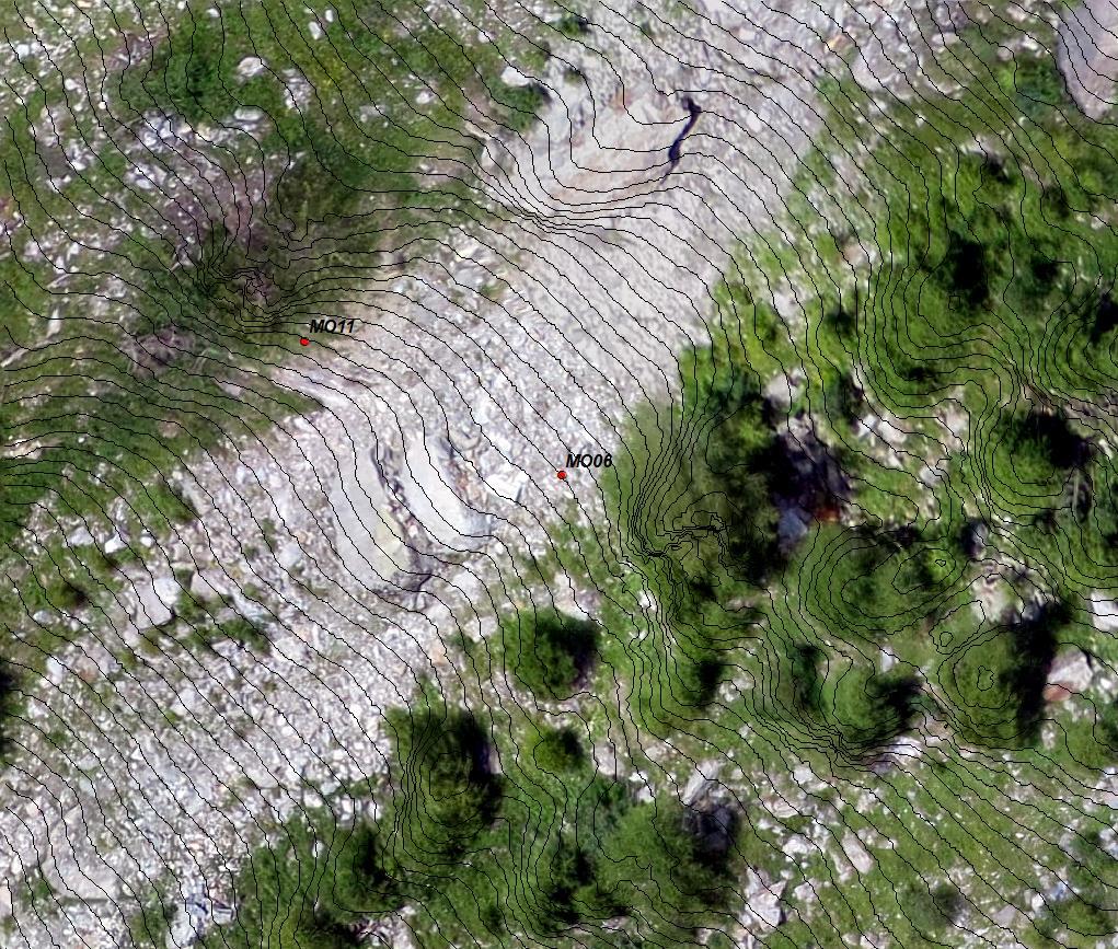 Rilievo della frana del Ruinon Ortoimmagine da drone con sovrapposte le curve di livello (equidistanza 1 metro)