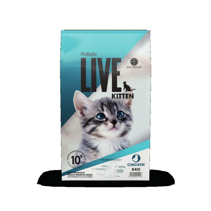 Alimenti per gatti di altissima qualità, con batteri vivi.