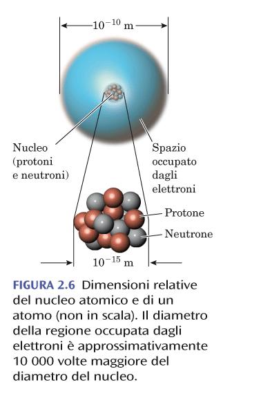 Atomi Un atomo è costituito da tre tipi di particelle: protoni e neutroni, localizzati nel nucleo ed elettroni che si muovono intorno al nucleo ATOMO Particella Neutrone