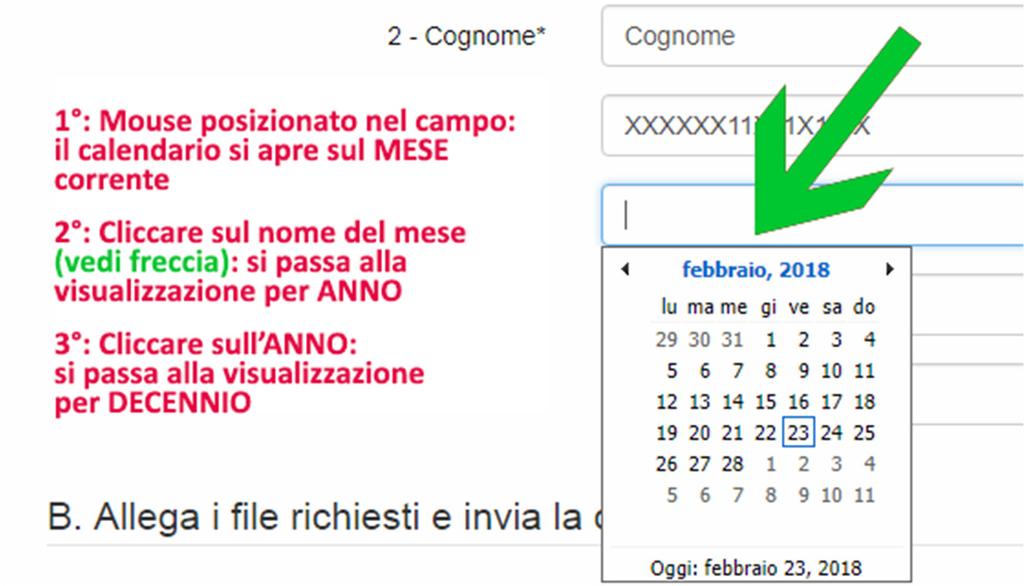 IMMISSIONE DEI DATI NEL MODULO DI INVIO DELLA DOMANDA Nei campi di testo vanno inserite tutte le informazioni richieste: Nome, Cognome, Codice fiscale, Data di nascita, Indirizzo di posta elettronica