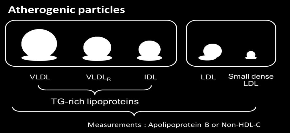 Chylomicron, VLDL Catabolism: LDL, Chylomicron,