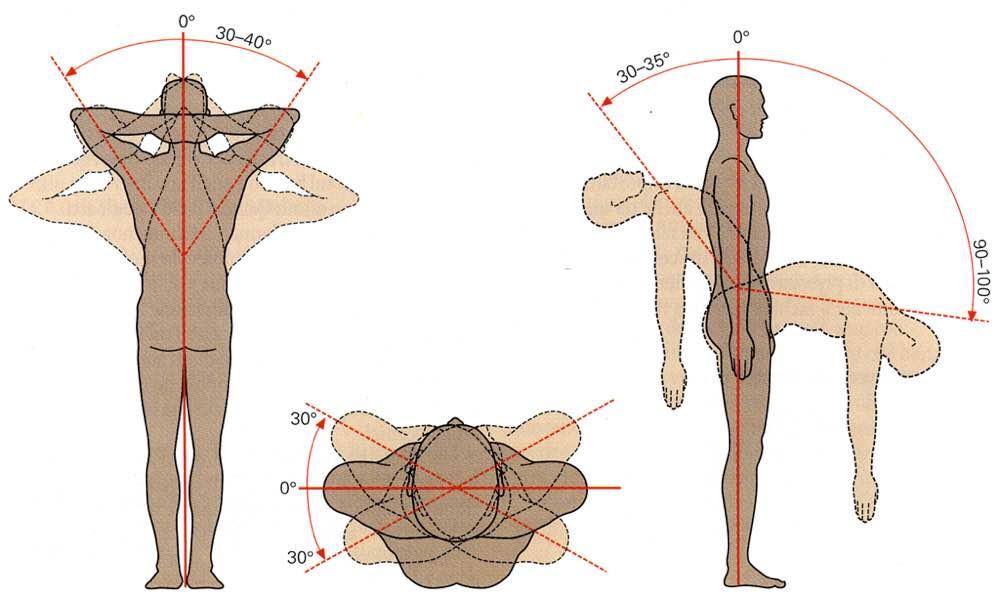 Inclinazione laterale Rotazione Estensione e flessione Immagine tratta da: