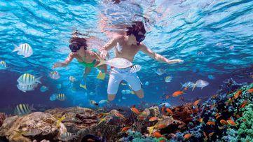 12 GIORNO: GALAPAGOS - ISOLE ISABELA E SANTA CRUZ Al mattino consigliamo di raggiungere la vicina laguna Concha Perla dove è possibile effettuare uno snorkeling in compagnia di leoni marini, pinguini