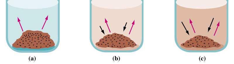 Solubilità In generale solo una quantità finita di un solido si scioglie in un dato volume di solvente dando luogo ad una soluzione satura, cioè una soluzione in equilibrio con un eventuale